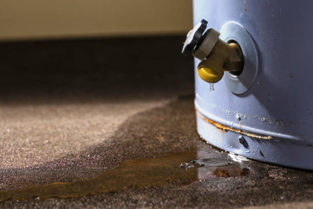 Water damage restoration insurance claims in Daniel, UT