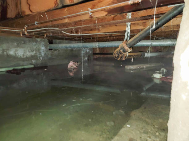 Best Water damage restoration near me  in Daniel, UT