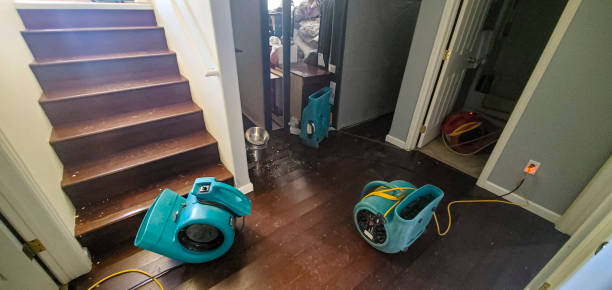 Best Professional water damage repair  in Daniel, UT