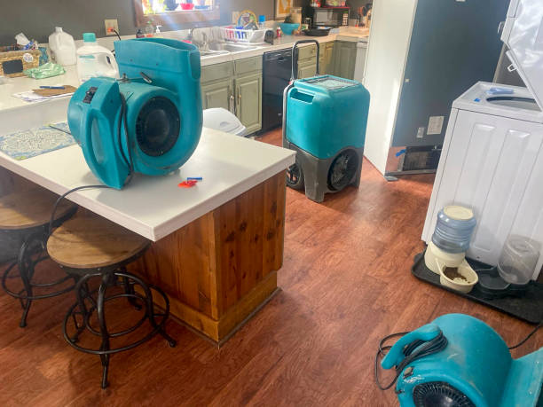 Best Residential water damage restoration  in Daniel, UT