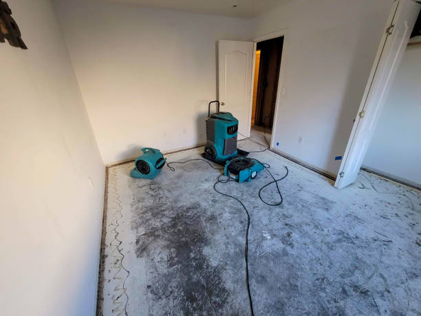 Best Water damage restoration near me  in Daniel, UT