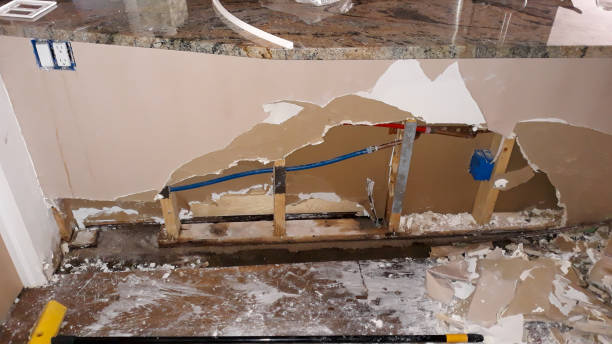Best Carpet water damage restoration  in Daniel, UT