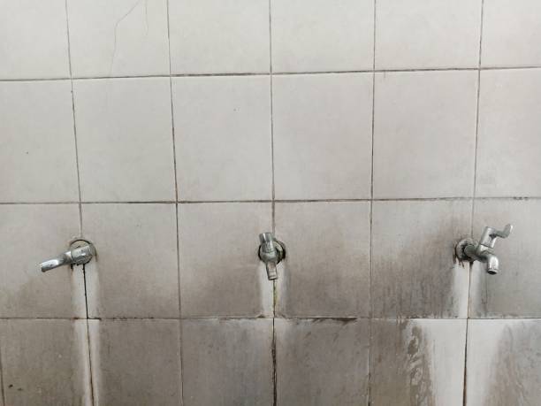 Best Water damage restoration cost  in Daniel, UT