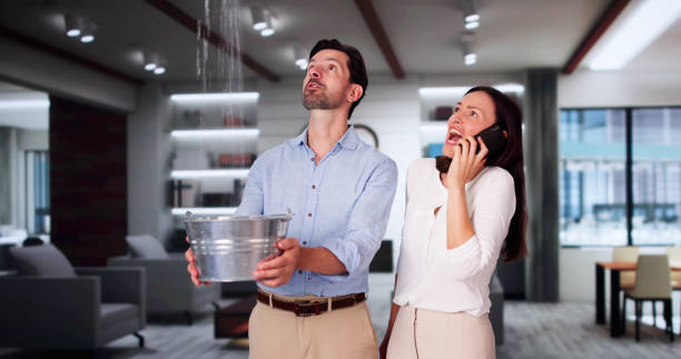 Best Water damage restoration mold remediation  in Daniel, UT