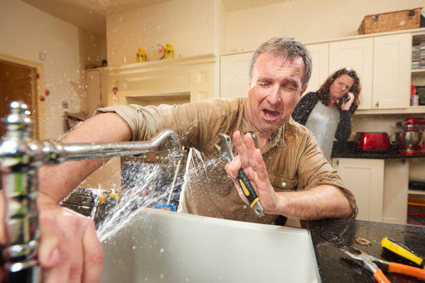 Best Water damage restoration near me  in Daniel, UT